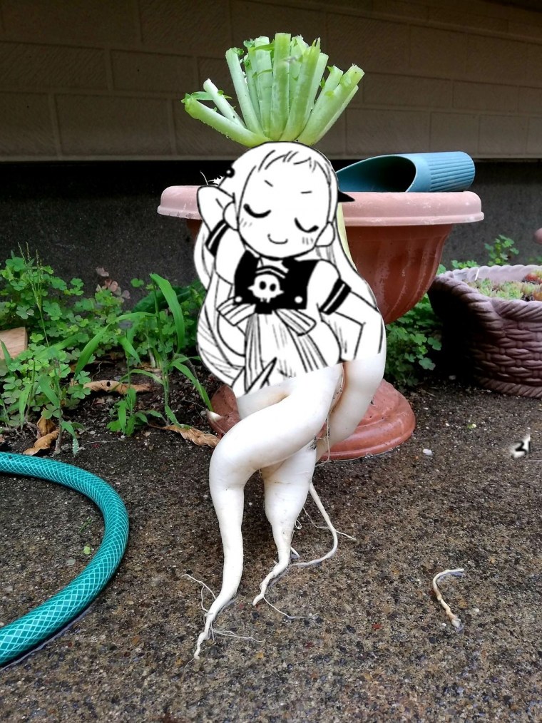 Веселые овощи свекла