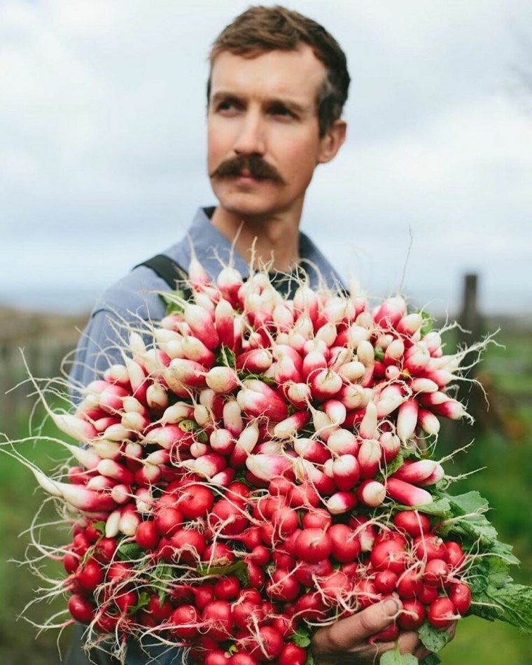 Редиска прикол