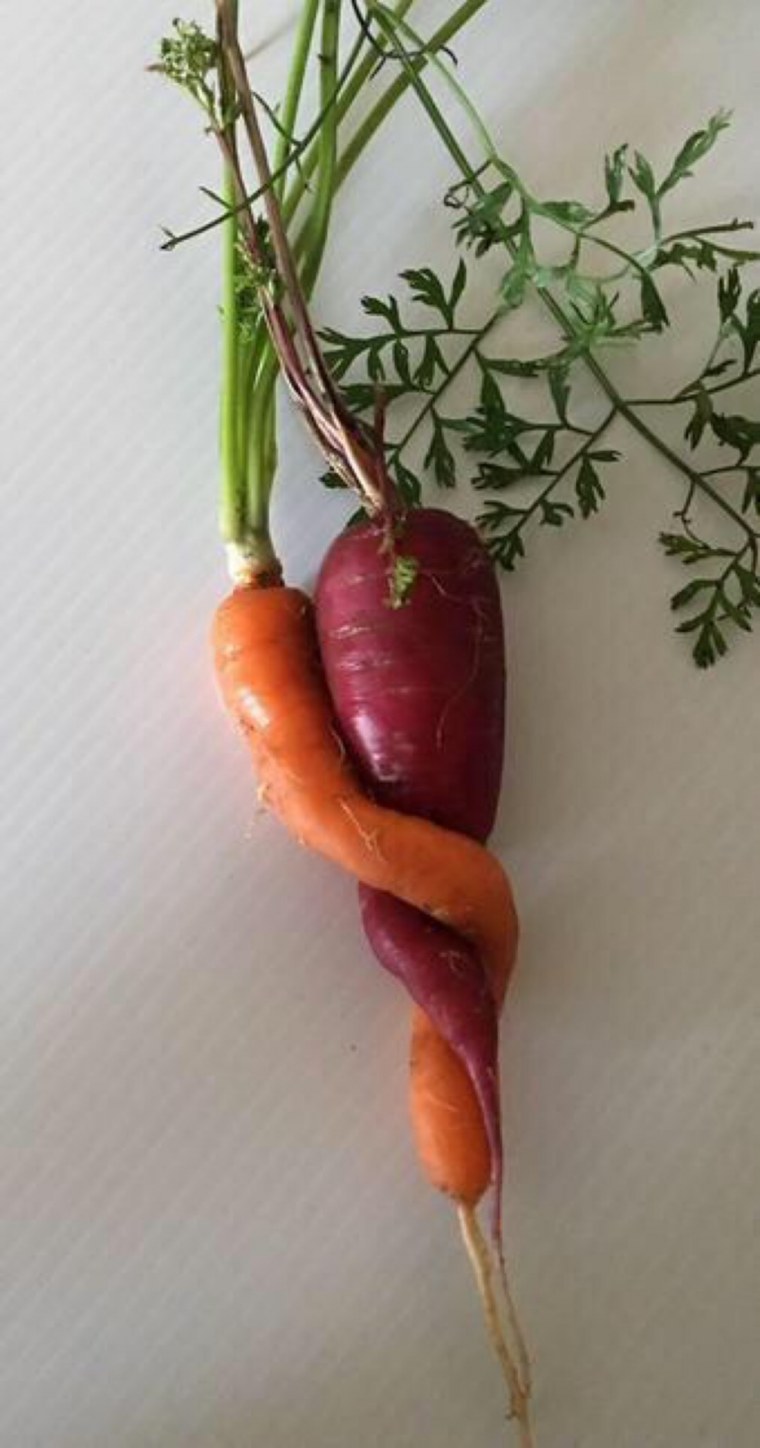 Мышка из овощей