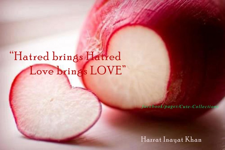 Прикольная редиска