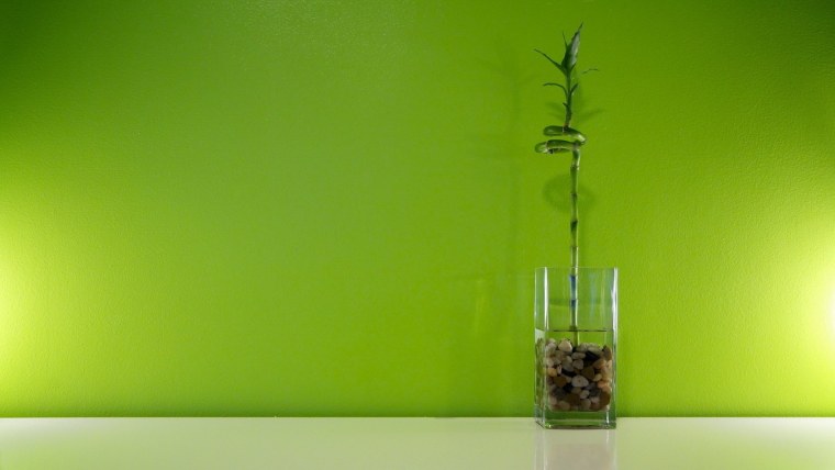 Зелень Минимализм