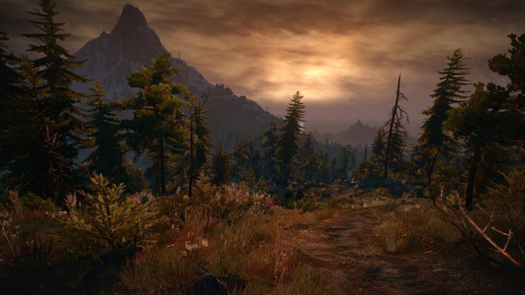 Лес Скеллиге