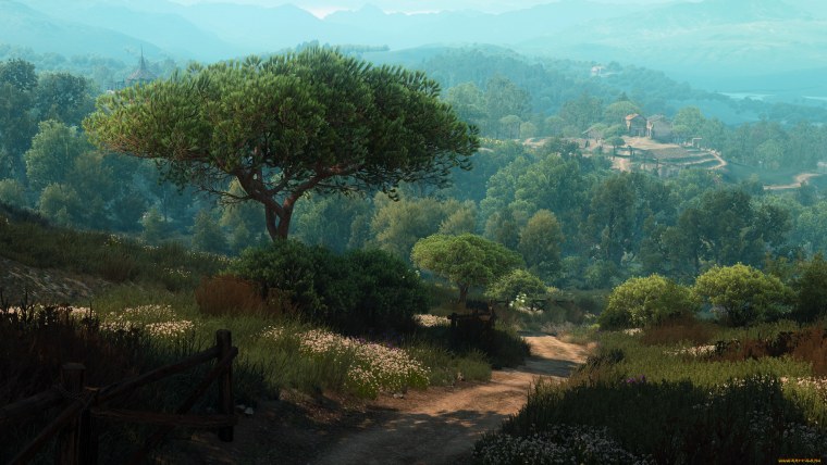 The Witcher 3 Wild Hunt природа