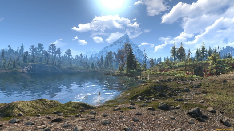 Ведьмак 3 пейзажи с Геральтом