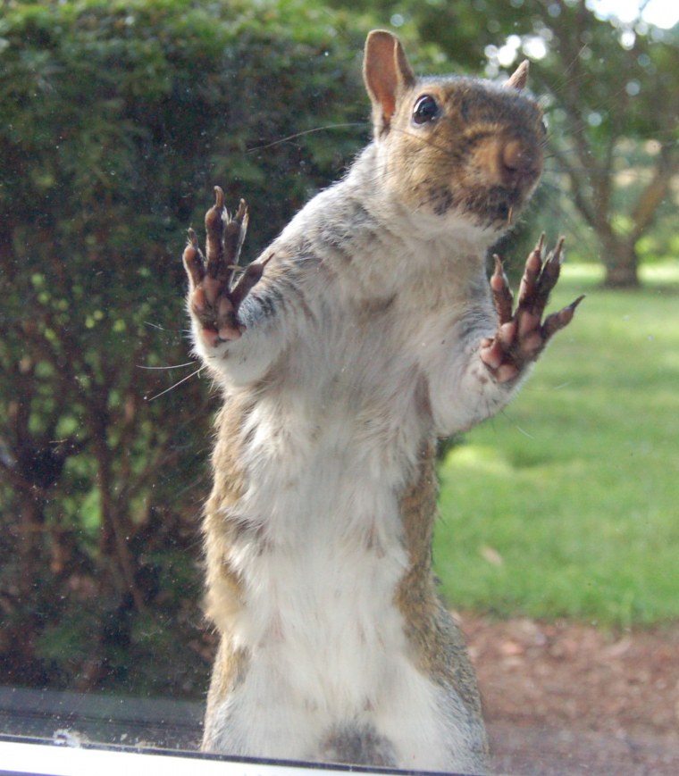 Джулиан рад фотограф из Австрии