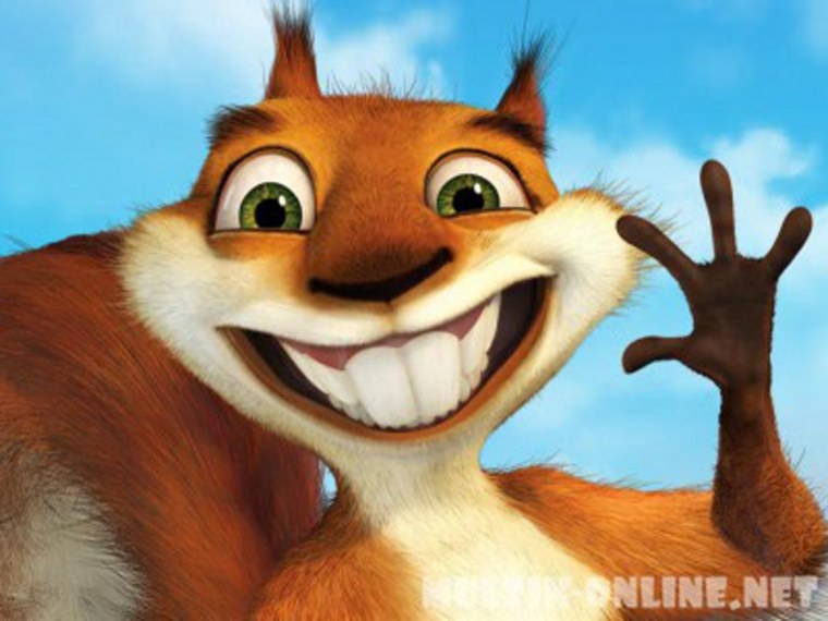 Сумасшедшие белки