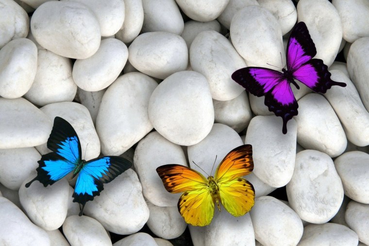 Красивые обои на рабочий стол