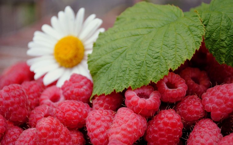 Картинки на рабочий стол ягоды