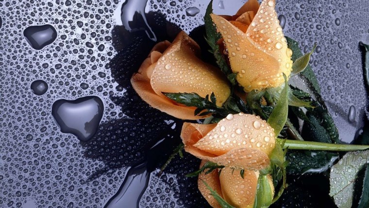 Красивые картинки