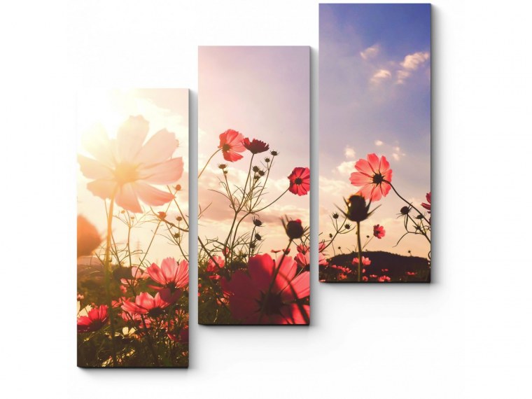 Модульные картины горизонтальные