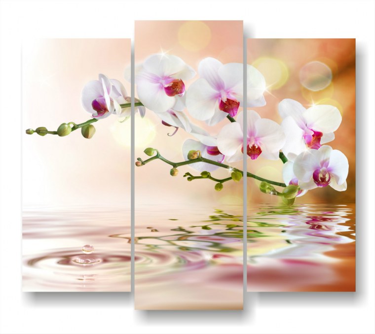 Картина модульная м3029