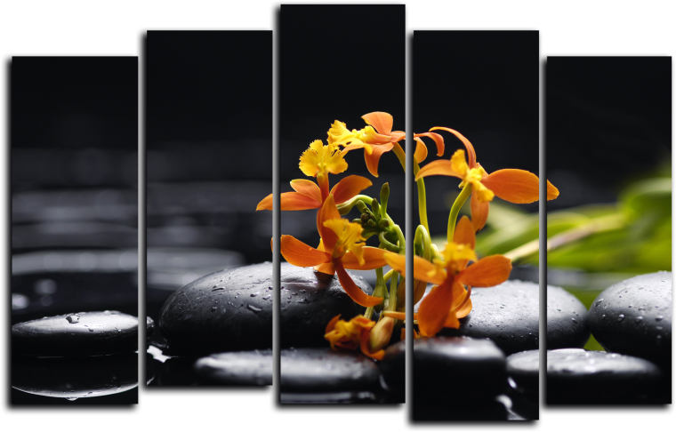 Модульная картина Toplight TL-pm0007