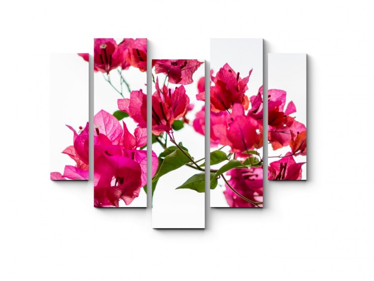 Модульная картина Toplight 80х125см