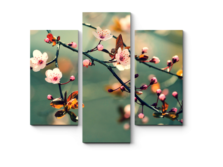 Модульные картины мокрые орхидеи в интерьере