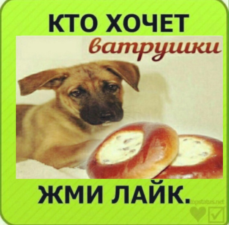 С днем ватрушки