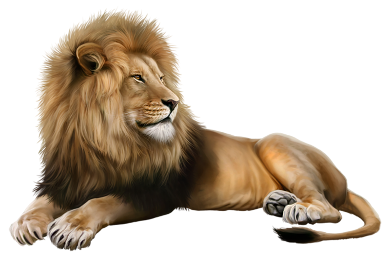 Лев клипарт