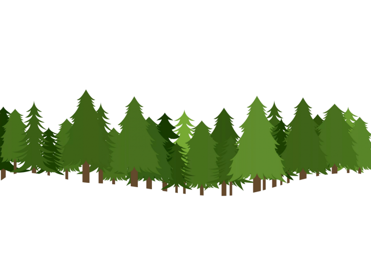 Лес на прозрачном фоне