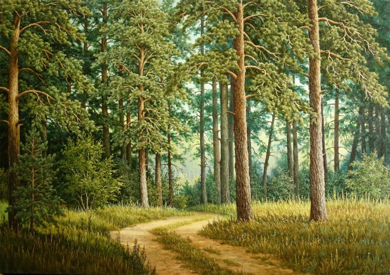 Киржачский район хвойные леса