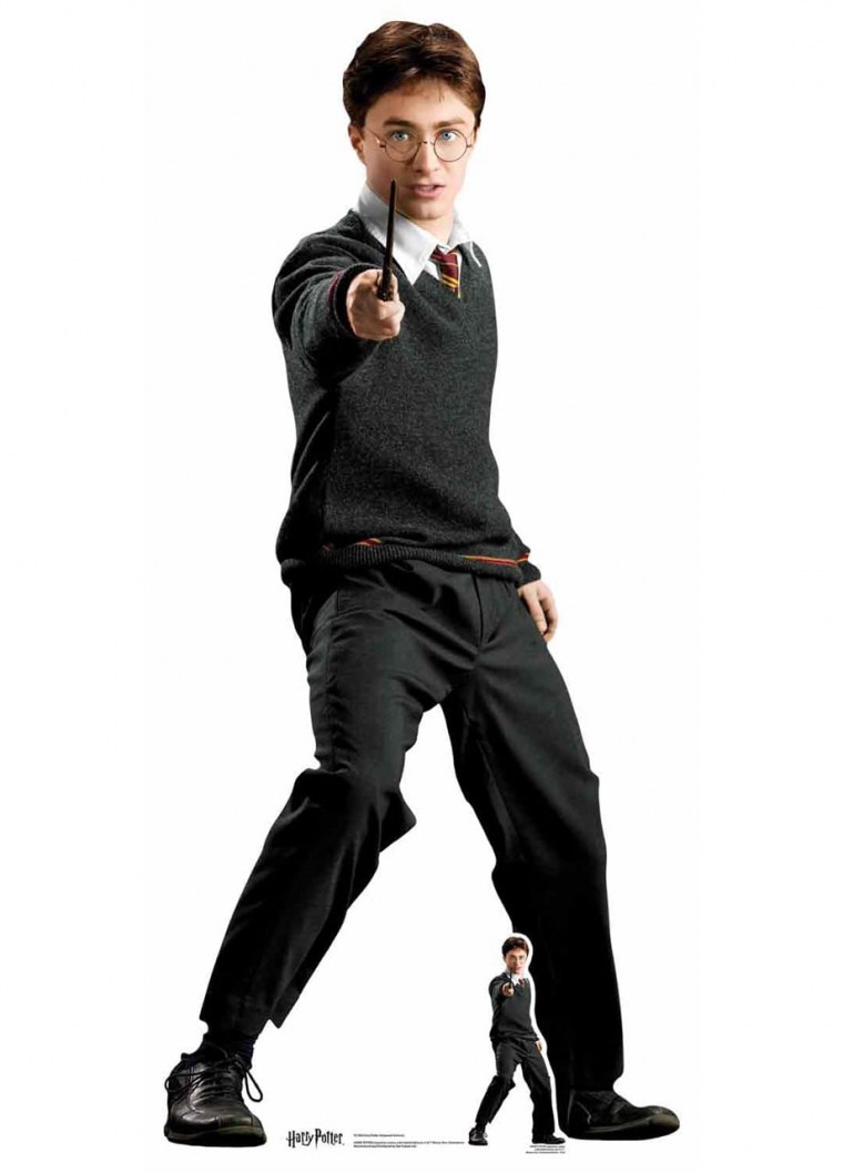 Хагрид из Гарри Поттера Рось