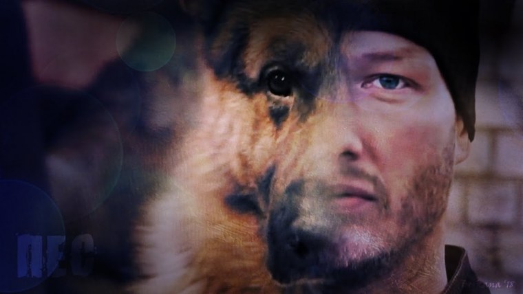 Сериал пёс Никита Понфилов