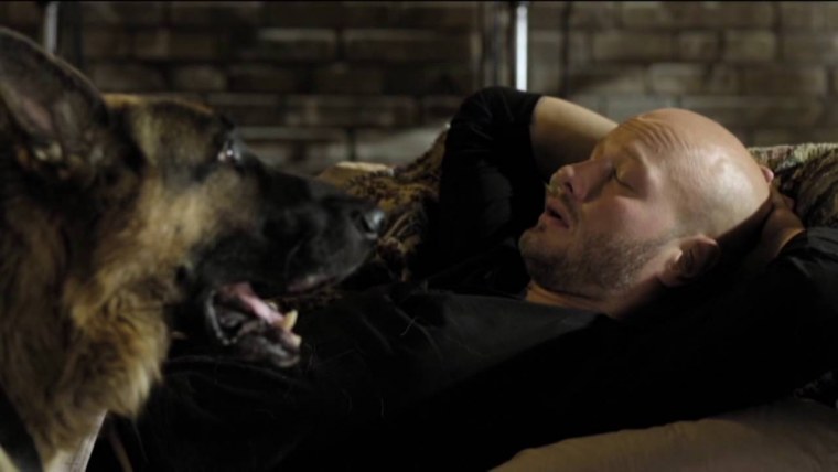 Пёс Максимов 6 сезон