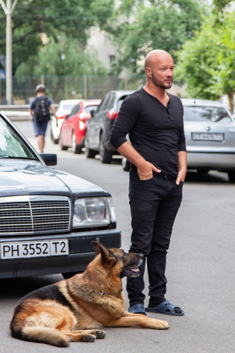 Сериал пёс 3 сезон