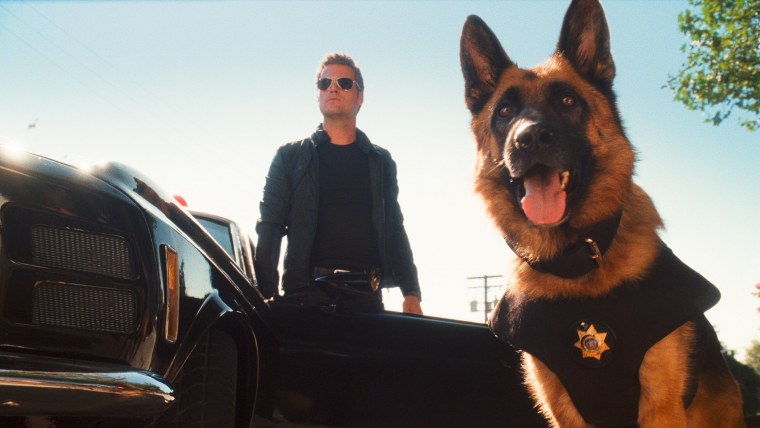 Никита Панфилов пес