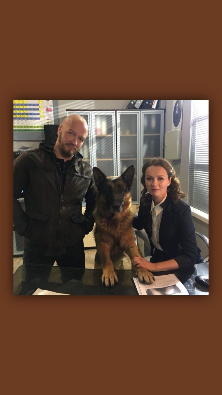 Call of Duty немецкая овчарка