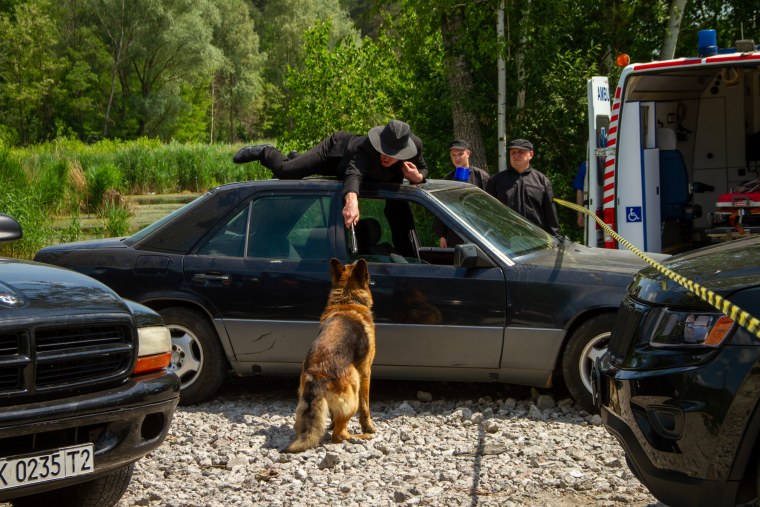 Никита Панфилов в сериале пес