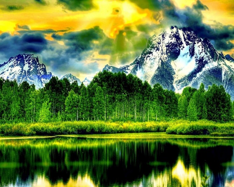 Windows 7 природа