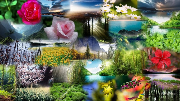 Коллаж красота природы
