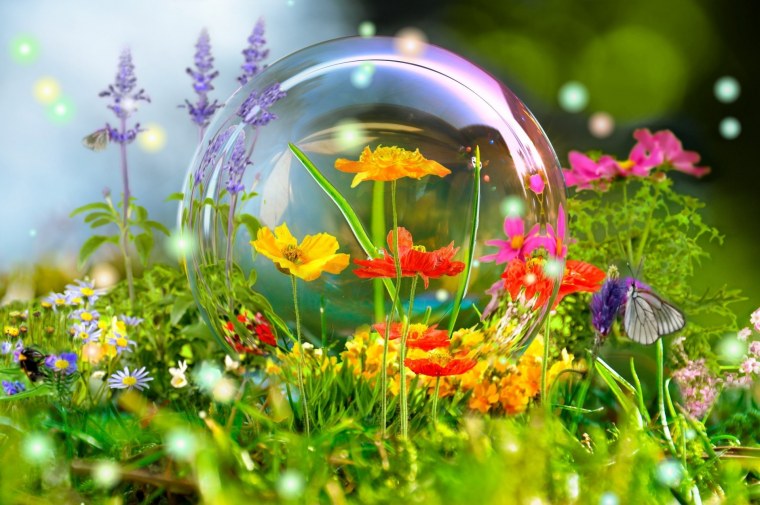 Прекрасный мир природы