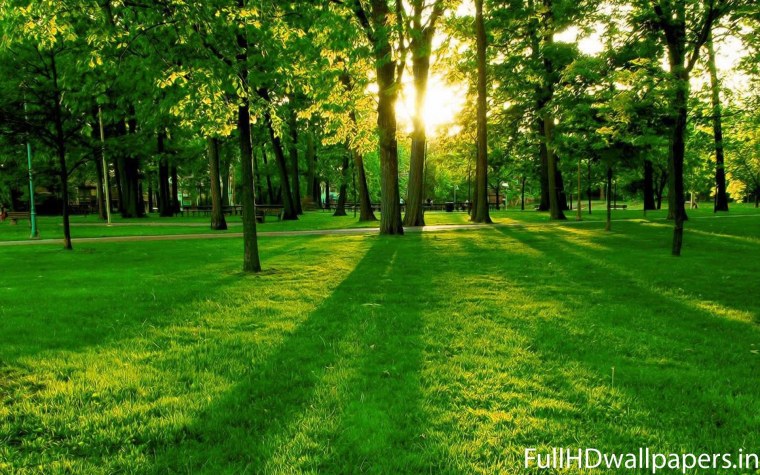 Красивая природа на обложку