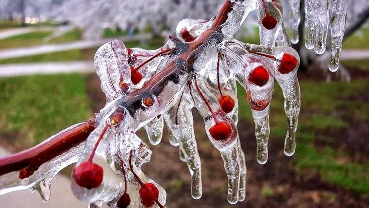 Весна сосульки