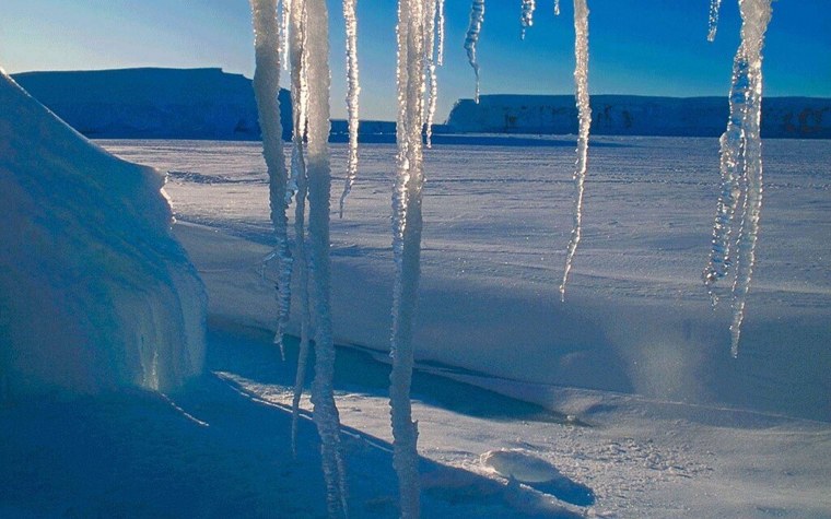 Ледяные сосульки
