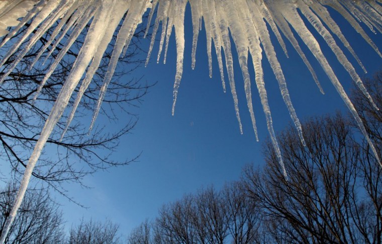 Сосульки на деревьях