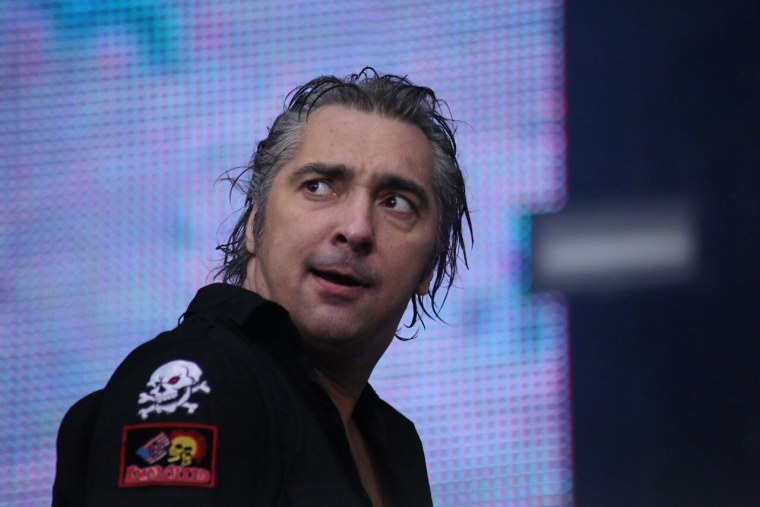 Цветок в горшке на фоне стены