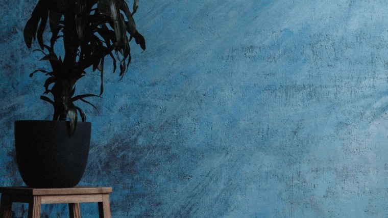 Цветы на белом фоне Минимализм