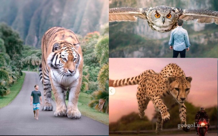 Фон учун расмлар