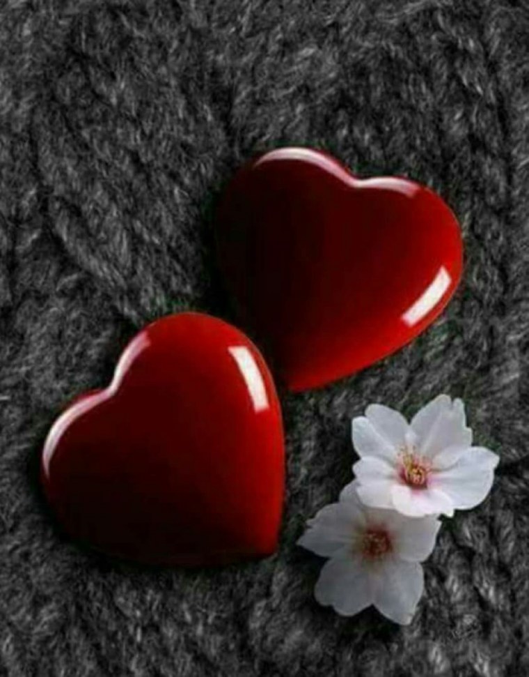 Красивые фиолетовые сердца