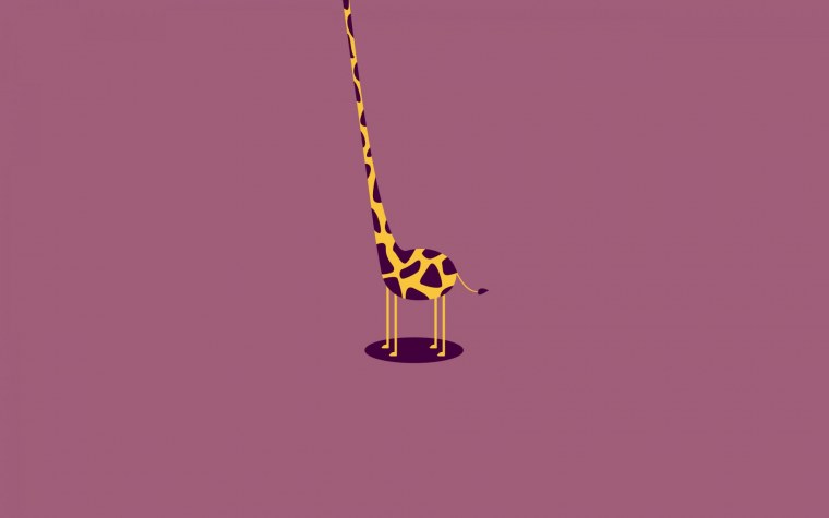 Минимализм животные