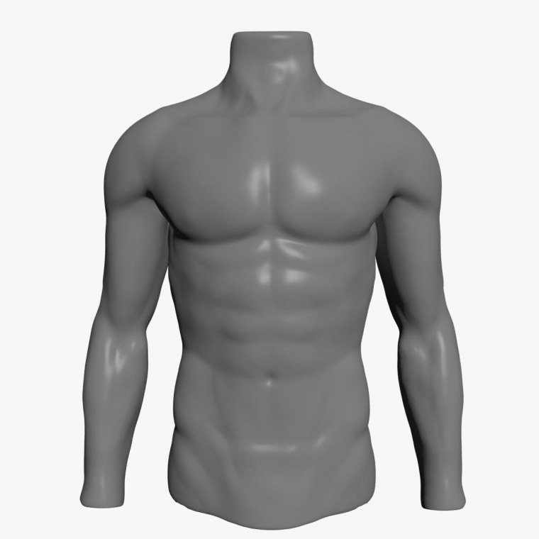 Мужской торс