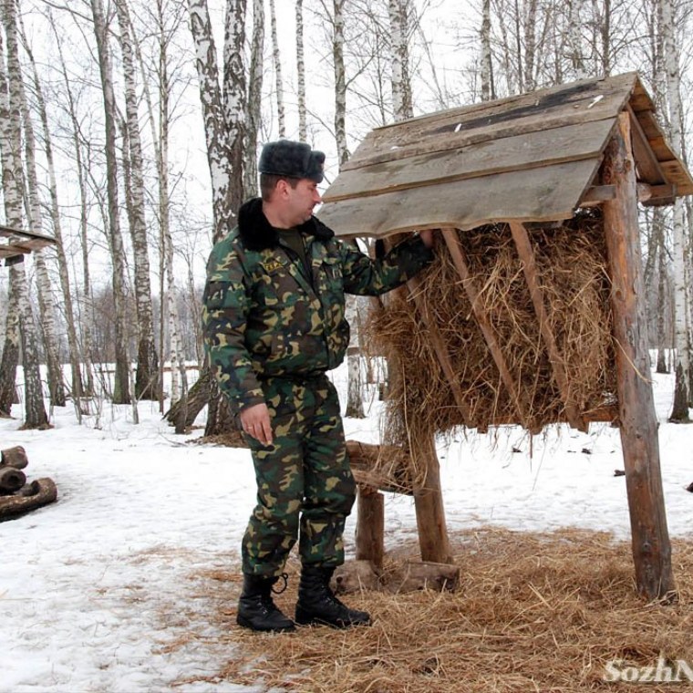 Егерь охотовед