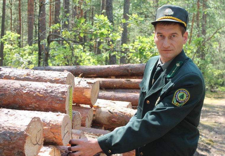 Лесник лесного хозяйства