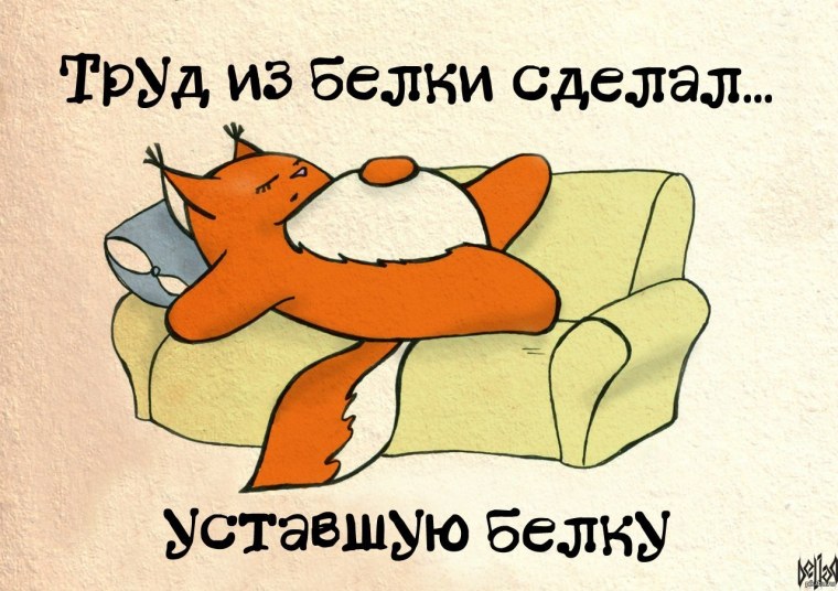 Кустарниковая белка