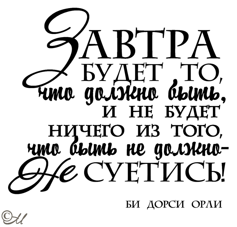 Цициатаы на белом фоне