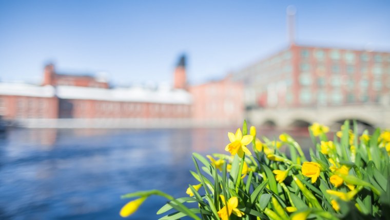 Весна в Санкт-Петербурге