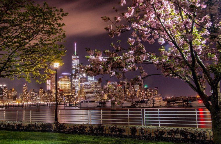 Ночной город парк Нью Йорк