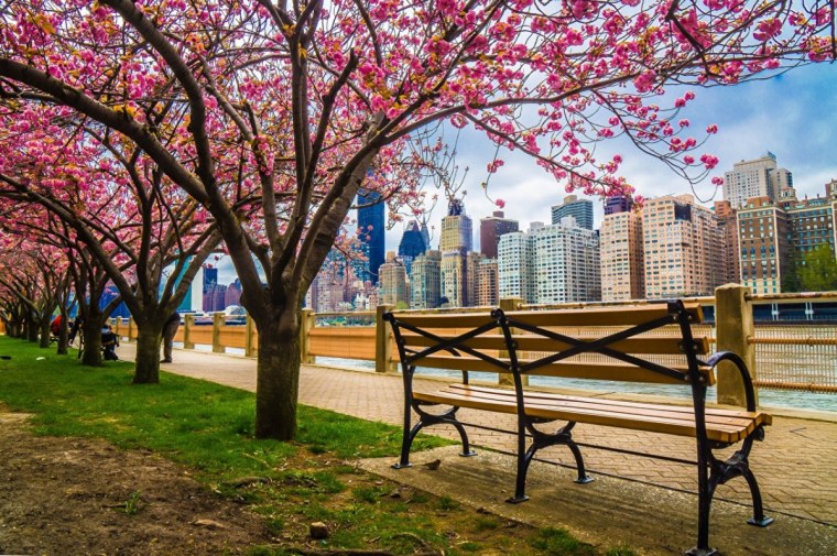 Централ парк Нью Йорк лавочки