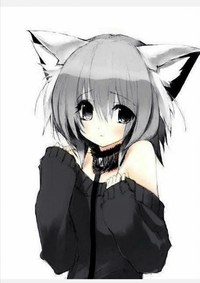 Аниме с ушками котика